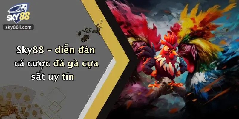 Sky88 – diễn đàn cá cược đá gà cựa sắt uy tín